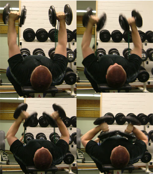 elis_triceps_ovning_med_hantel_och_gummiband