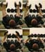 elis_triceps_ovning_med_hantel_och_gummiband