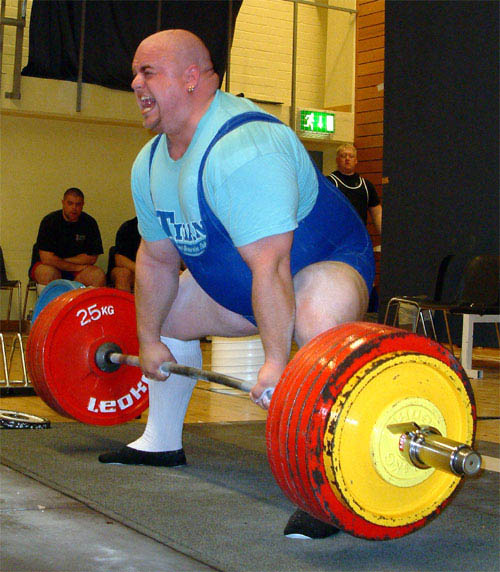 kenta_310kg_mark