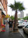 turist_1